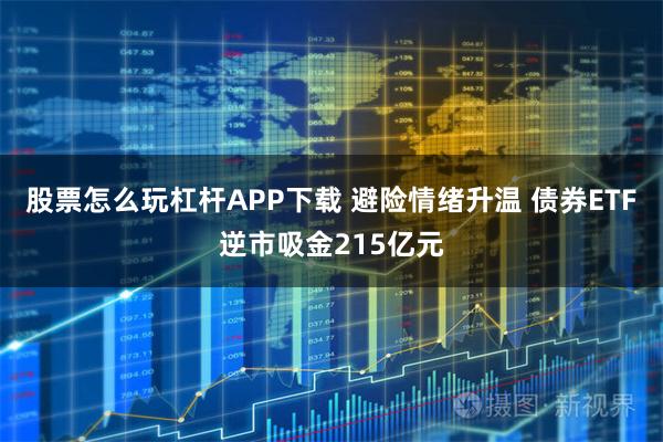 股票怎么玩杠杆APP下载 避险情绪升温 债券ETF逆市吸金215亿元