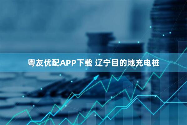 粤友优配APP下载 辽宁目的地充电桩